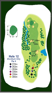 Hole 12 diagram: Blackbutt Alley