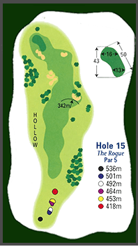 Hole 15 diagram: The Rogue